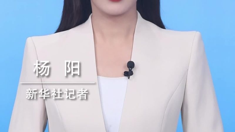 Python数据可视化报表制作：揭秘高效数据分析之道